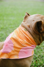 Load image into Gallery viewer, Honey Animal Scarf - Opihi (Pink)