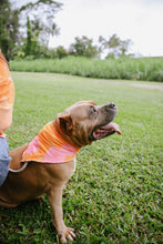 Load image into Gallery viewer, Honey Animal Scarf - Opihi (Pink)